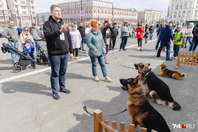 Источник: Илья Бархатов