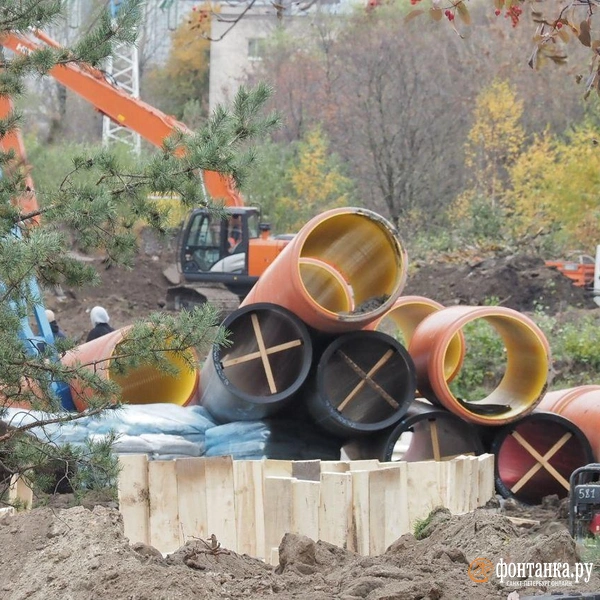 Источник: Михаил Огнев / «Фонтанка.ру»