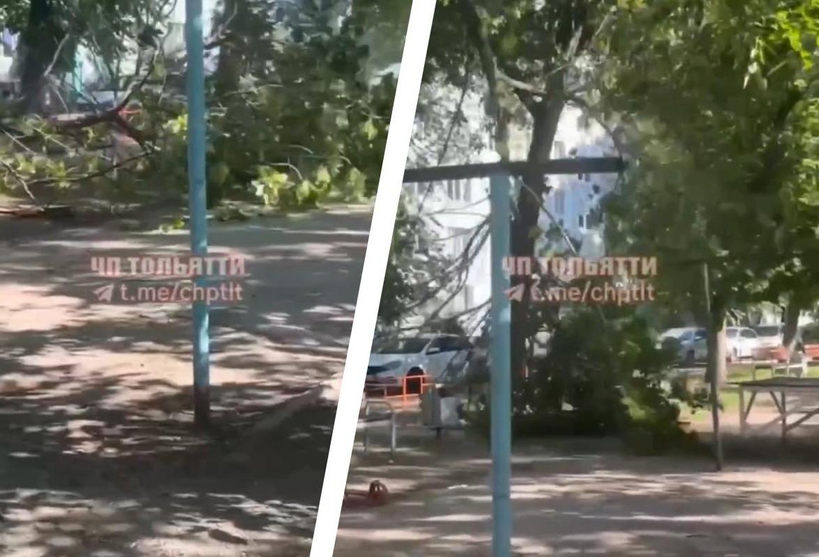 «Угрожающе затрещало» — огромное дерево рухнуло в Тольятти на детскую площадку — видео