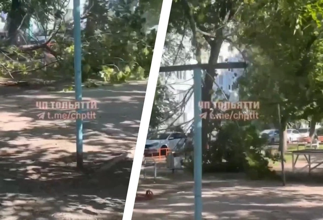 Ветка грозно захрустела, а потом повалилась прямо на урны и скамейку | Источник: «ЧП Тольятти» / t.me