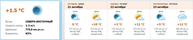 Источник: скриншот с meteo.nw.ru