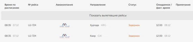 Больше суток самолеты не могут улететь в Египет | Источник: онлайн-табло Кольцово
