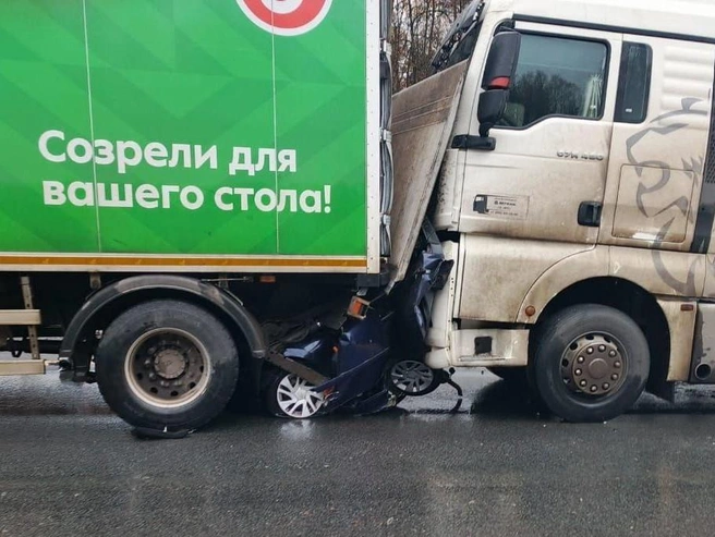Выжить в такой ситуации практически невозможно | Источник: Прокуратура Московской области / Telegram