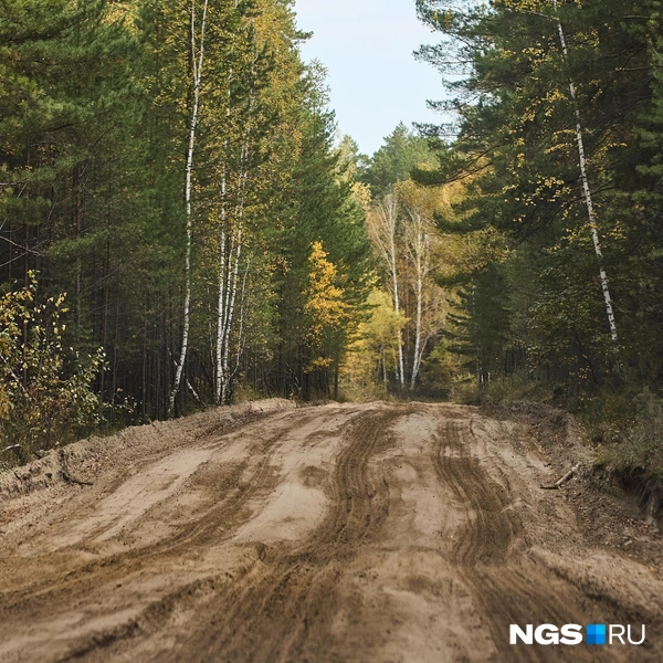 Песчаные дороги, проходящие через Караканский бор, могут оказаться удовольствием на любителя, особенно если грейдера в этих местах давно не видели (нашему водителю они не понравились) | Источник: Александр Ощепков / NGS.ru