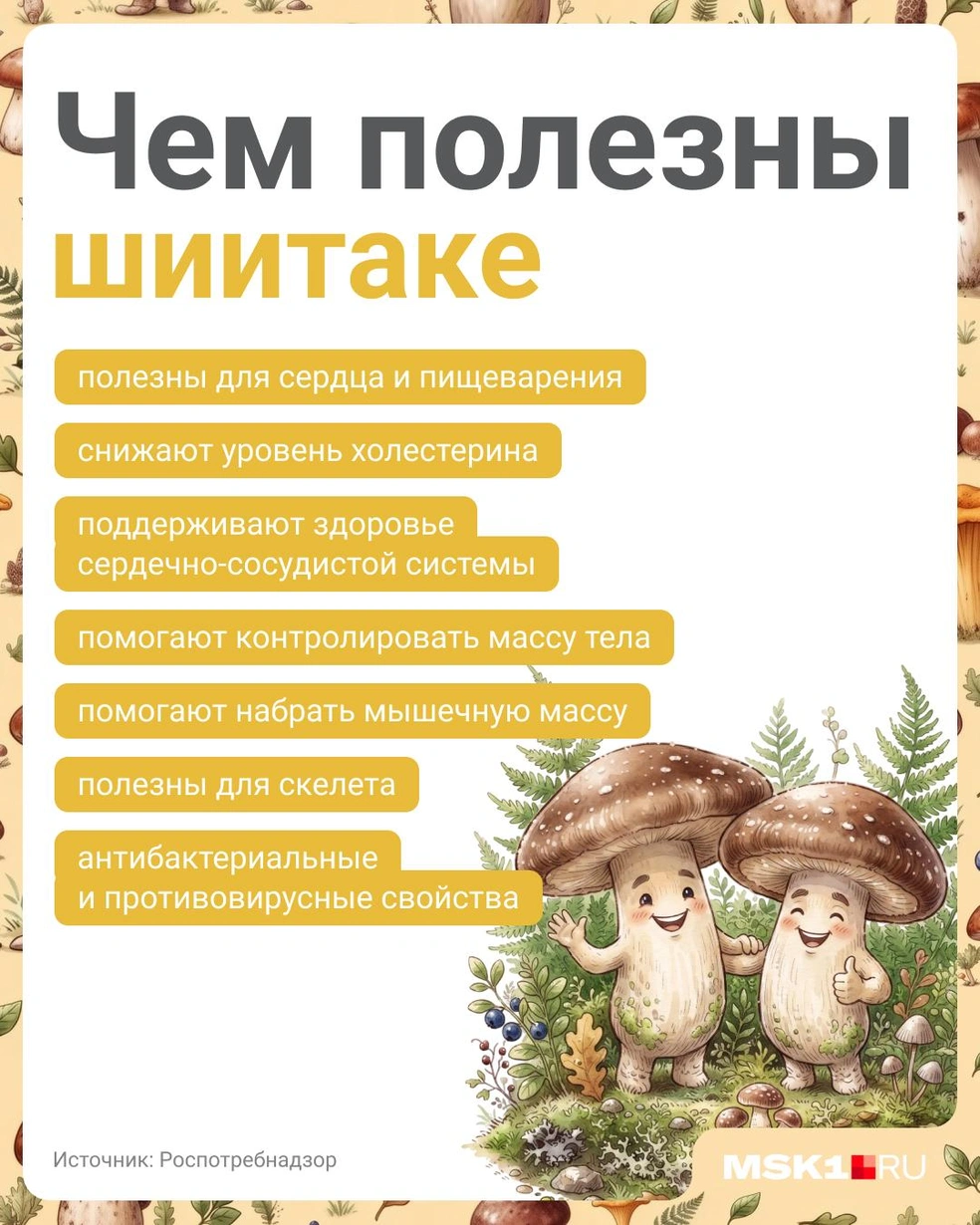 Шиитаке водятся не в каждом российском лесу, но на полках крупных магазинов всё еще встречаются | Источник: Полина Авдошина / Городские медиа