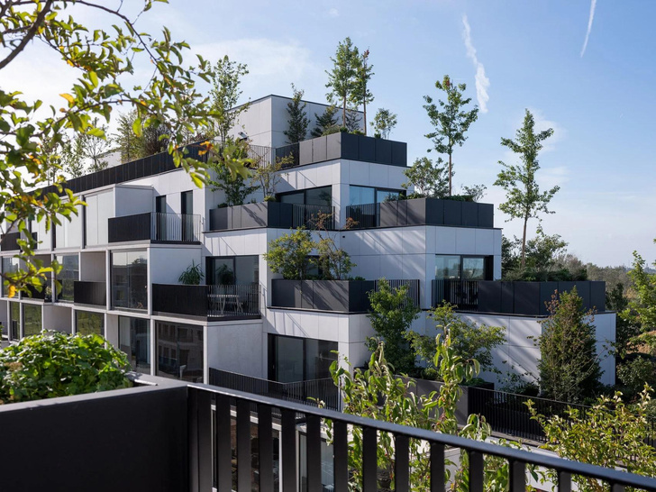«Зеленый» жилой комплекс в Бельгии