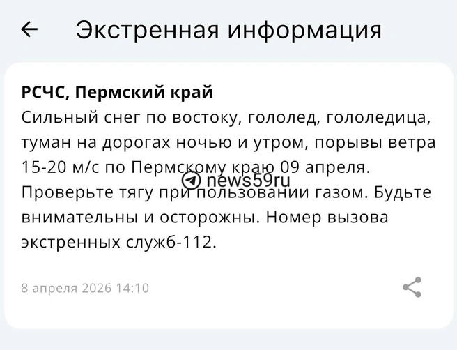 Такое уведомление пришло пермякам  | Источник: скриншот приложения МЧС России 