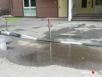 Источник: Валерия Милованова / MSK1.RU