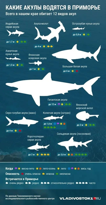 Источник: VLADIVOSTOK1.RU