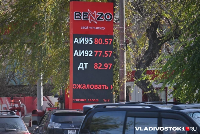 Источник: Елена Буйвол / VLADIVOSTOK1.RU