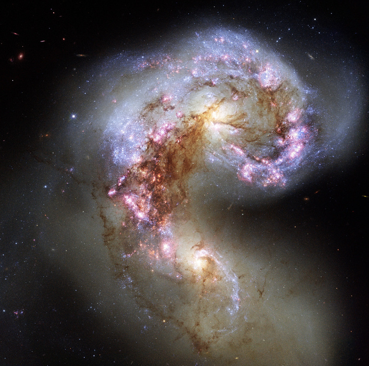 «Джеймс Уэбб» vs «Хаббл»: насколько вперед шагнет астрономия в этом году