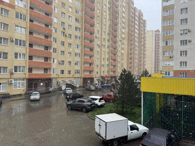 На улице по ощущениях холоднее, чем есть на самом деле | Источник: Дарья Гранкина / 26.RU 