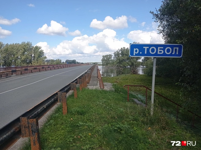 В основных водоемах замечена этим летом мертвая рыба  | Источник: Аркадий Репанов