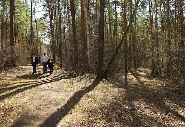 По тропе у беседки можно будет подняться обратно, пройти к гати или выйти к будущему тоннелю под «железкой» и попасть на парадную аллею | Источник: Максим Воробьев