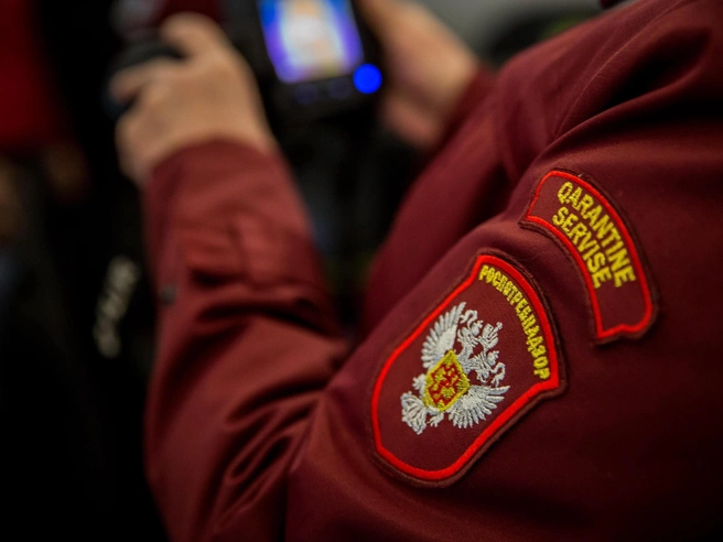 Ситуация остаётся на контроле Роспотребнадзора | Источник: Александр Ощепков / NGS.RU