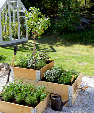 Огород в ящике: полезные советы для дачи и балкона