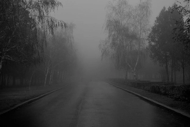 Куда приведет эта дорога? | Источник: Александр Киреев