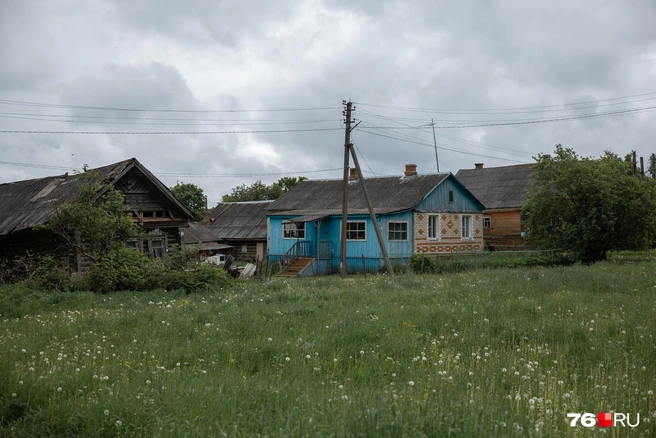 В деревне много жилых домов  | Источник: Александр Куренной / 76.RU