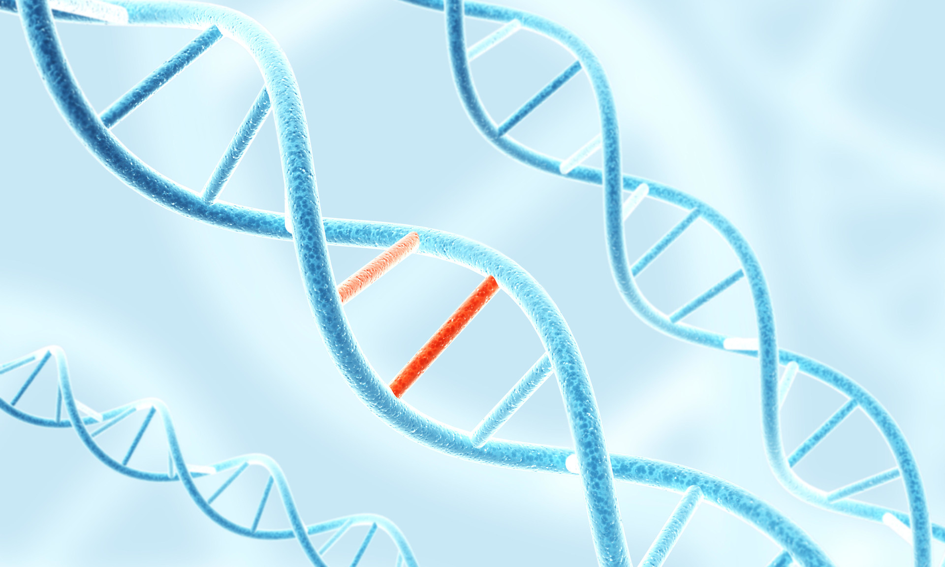 Генетические мутации могут быть не столь хаотичными, как считалось ранее