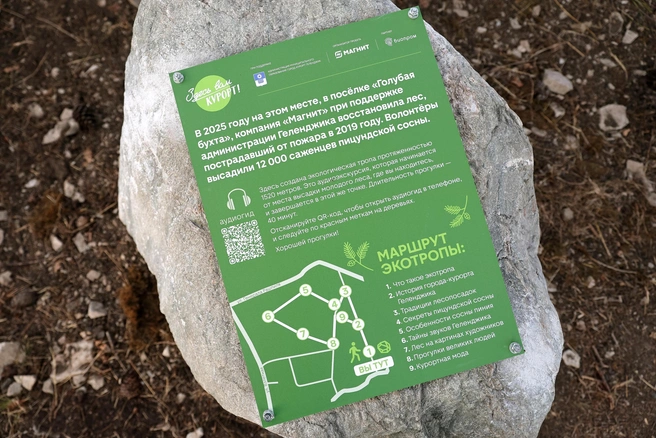 Протяженность экотропы — 1520 метров | Источник: пресс-служба компании «Магнит»