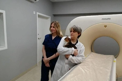 ‘Cheating death’: Siberian research treats animal tumors for cancer insights