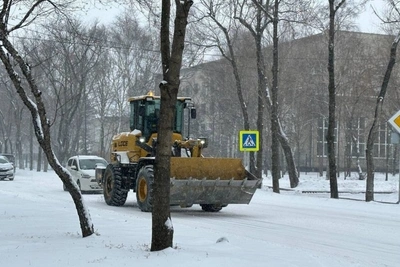 Чита заплатила 1,2 млн рублей штрафов за уборку снега
