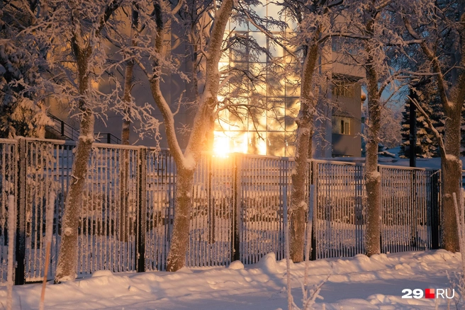 Источник: Иван Митюшёв / 29.RU