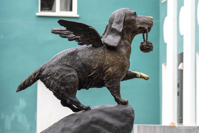 Собака | Источник: Михаил Огнев / FONTANKA.RU