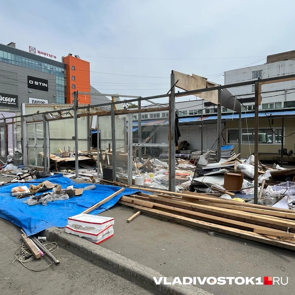 Источник: Елена Буйвол / VLADIVOSTOK1.RU