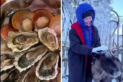 Боярская провела новогодние каникулы в Заполярье