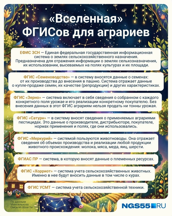 Не каждый аграрий разберется со множеством ФГИСов  | Источник: Евгения Бикунова / Городские медиа 