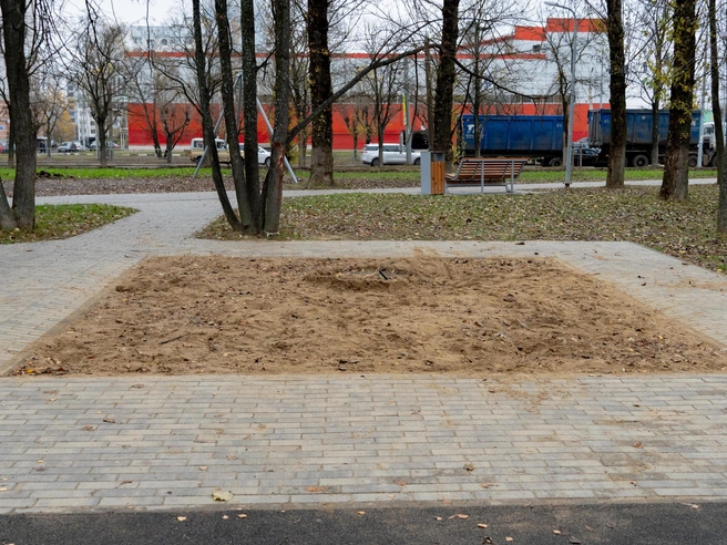 Некоторые участки парка нуждаются в доработке | Источник: Кирилл Поверинов / 76.RU