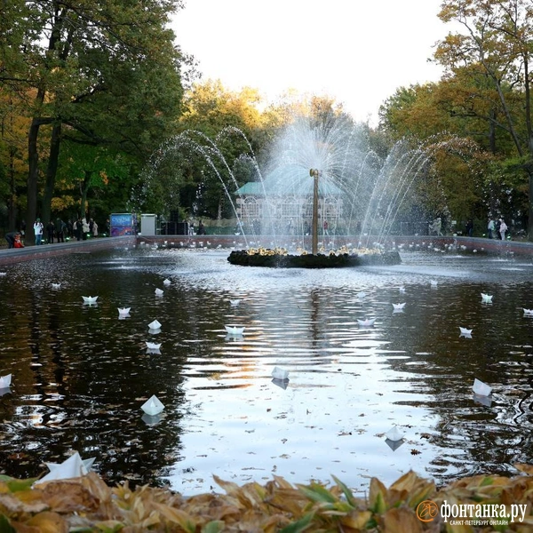 Источник: Дарья Драй / FONTANKA.RU