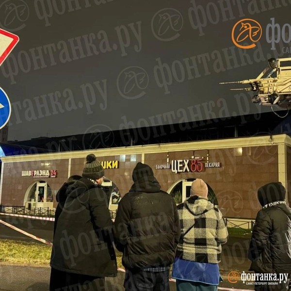 Источник: Ирина Лысак / «Фонтанка.ру»