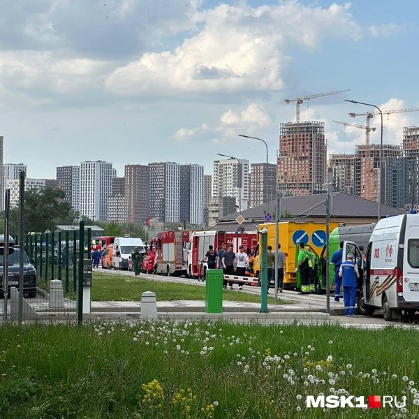 Источник: Андрей Кузнецов / MSK1.RU
