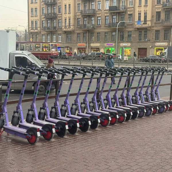 Источник: Серафима Зубкова / «Фонтанка.ру»