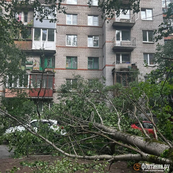 Источник: читатель «Фонтанки»