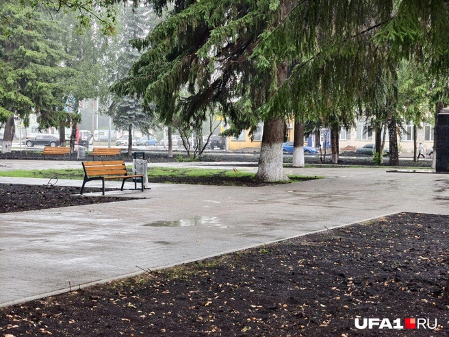 Урны еще даже в пленке | Источник: Булат Салихов / UFA1.RU