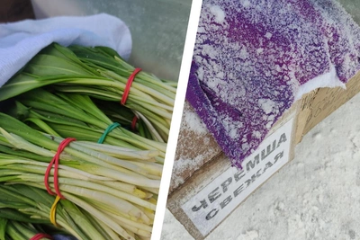 В Красноярске торгуют черемшой — сибирской виагрой