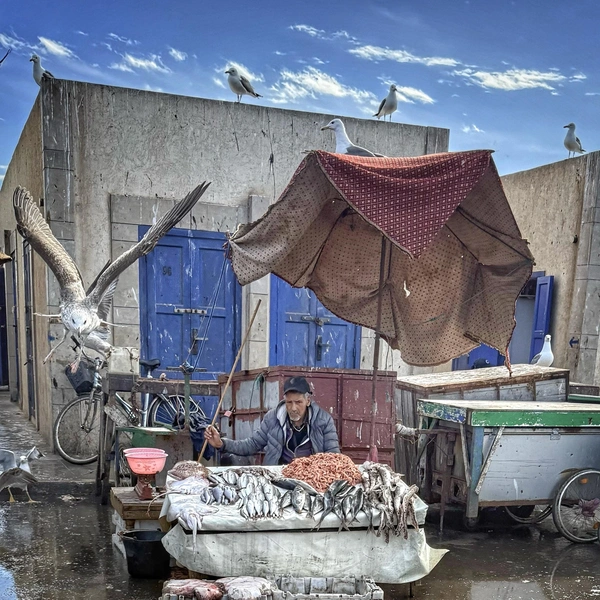 Источник: Louise Rayner / World Food Photography Awards 2025