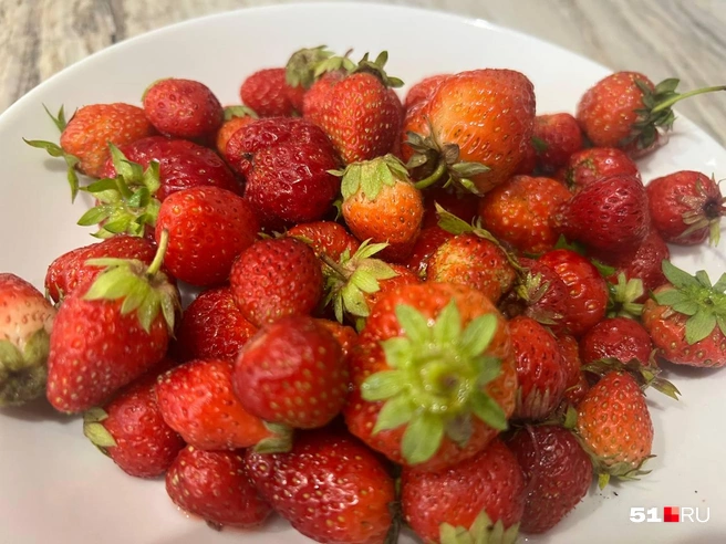 Источник: Александра Балаба