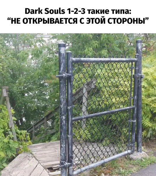 Источник: Соцсети