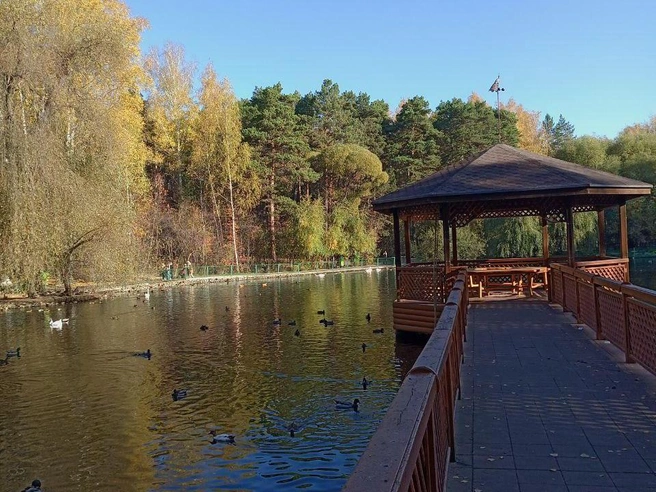 Анастасия съездила в зоопарк, а вечером планирует прогулку по городу | Источник: жительница