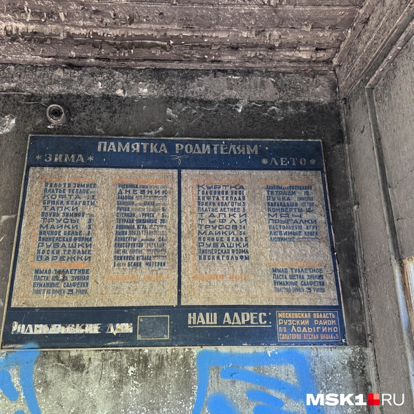Когда-то тут была санаторно-лесная школа | Источник: Алина Мельникова / MSK1.RU