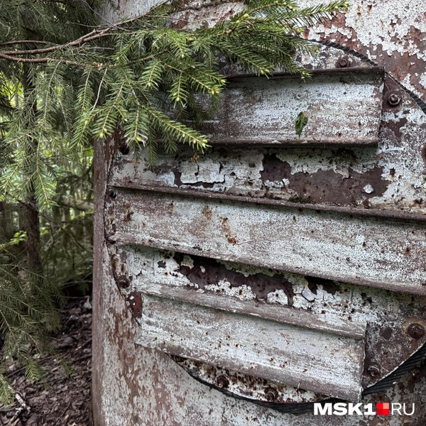 Источник: Алина Мельникова / MSK1.RU
