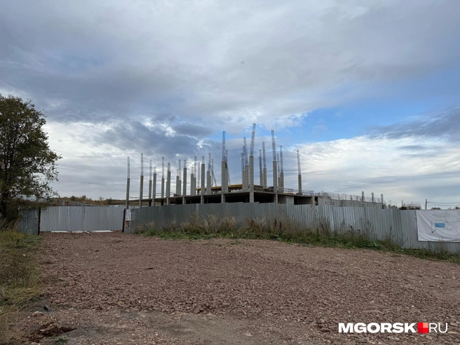 Строительство ФОКа, согласно официальной информации, начали в конце 2024 году | Источник: читатель MGORSK.RU