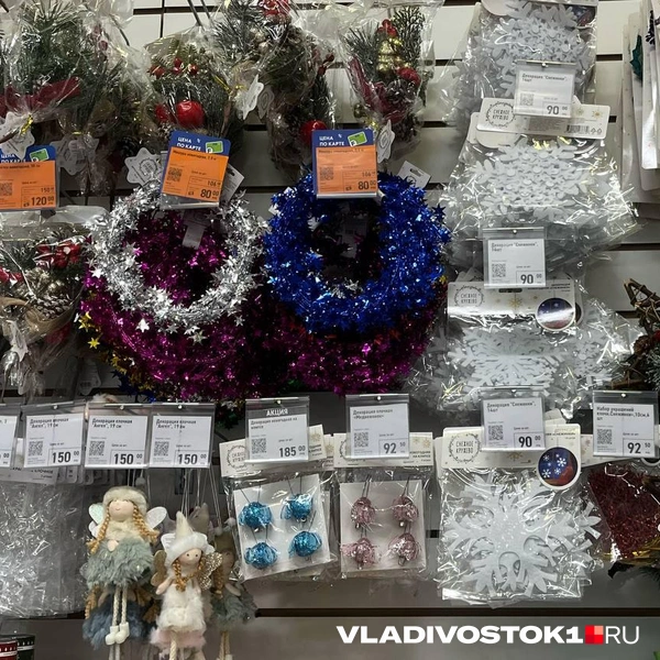Источник: Елена Буйвол / VLADIVOSTOK1.RU