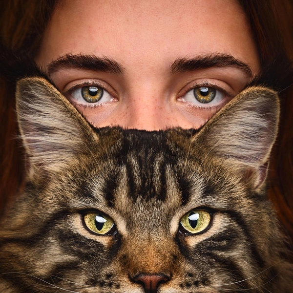 Источник: International Pet Photography Awards