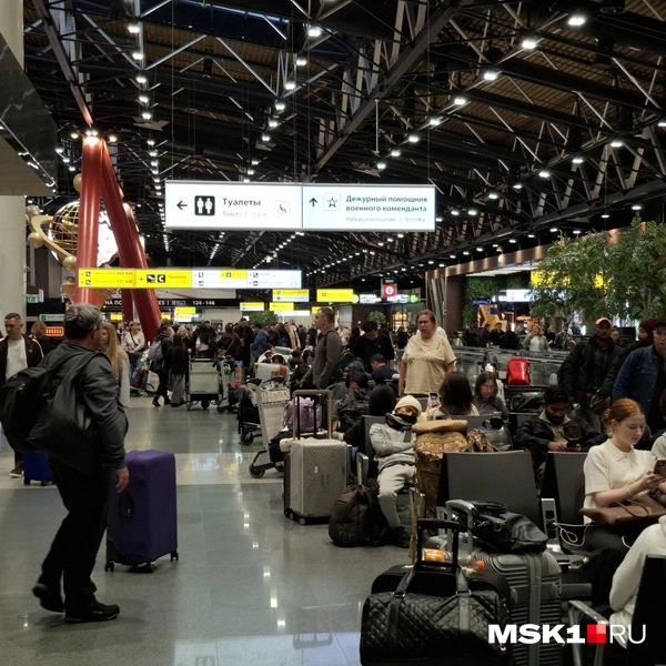 Источник: Татьяна Спиридонова / MSK1.RU