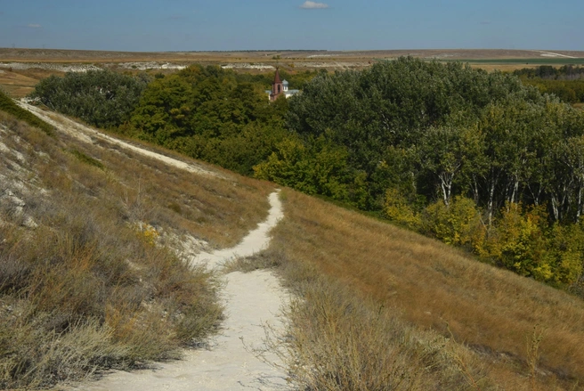 «Макушку» монастырской часовни легко не заметить в лесных зарослях | Источник: Олег Рыбалко